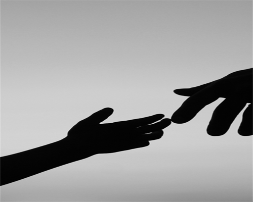 高雄激素怎么做试管